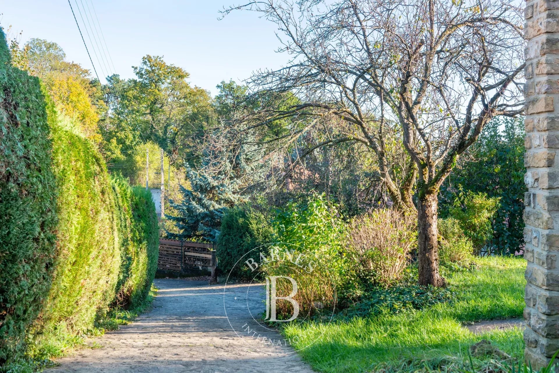 Ev Sainte-Foy-lès-Lyon - picture 8