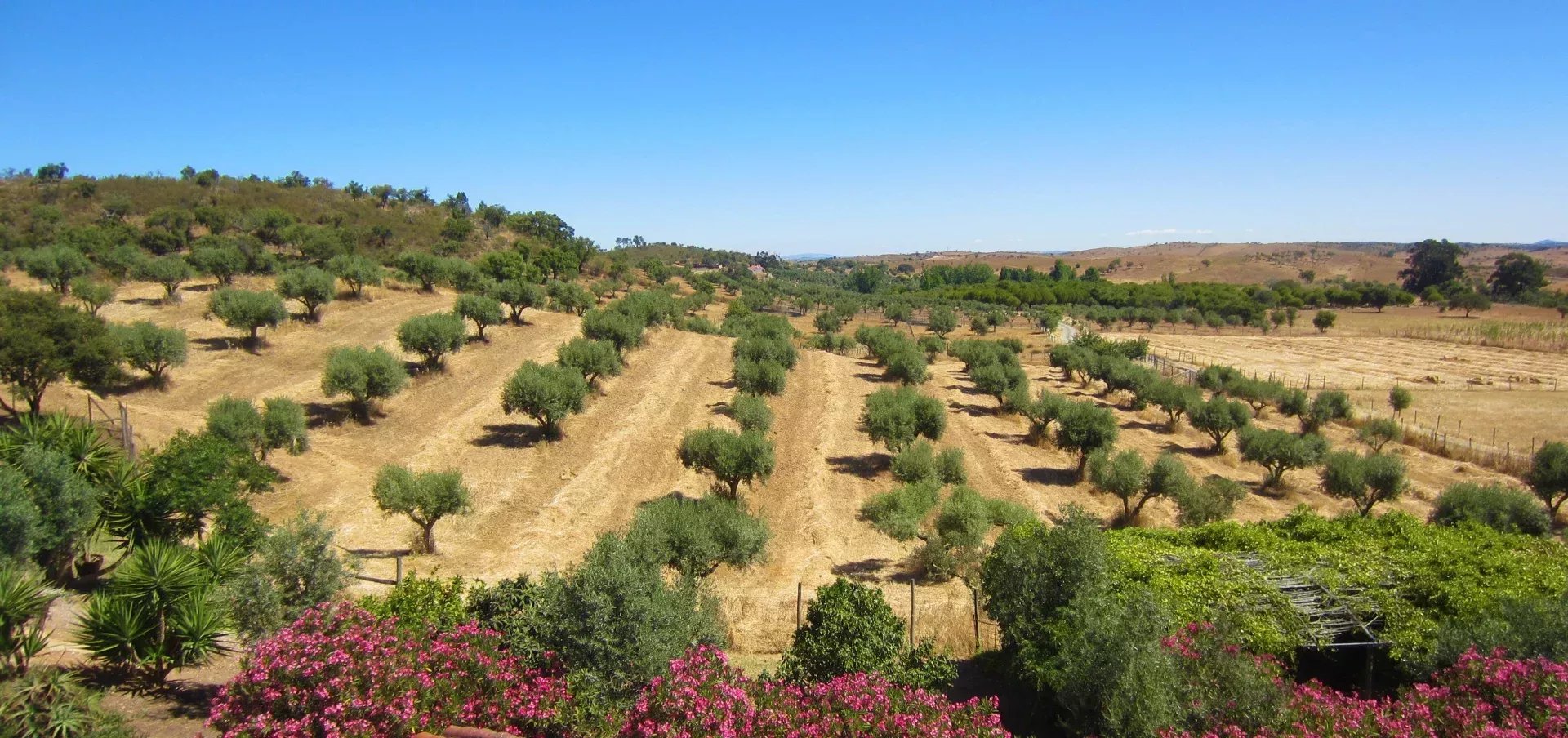 Herdade Cativante in Alentejo: A Tourist Investment with Immeasurable Potential 🌿✨ 86362095 image 60
