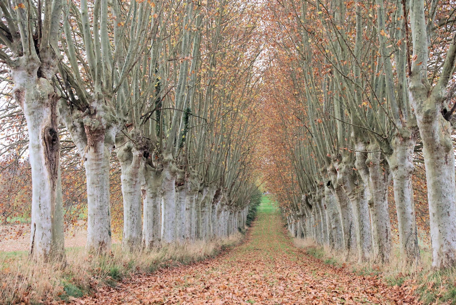 Agence immobilière de Agence Le Bonheur