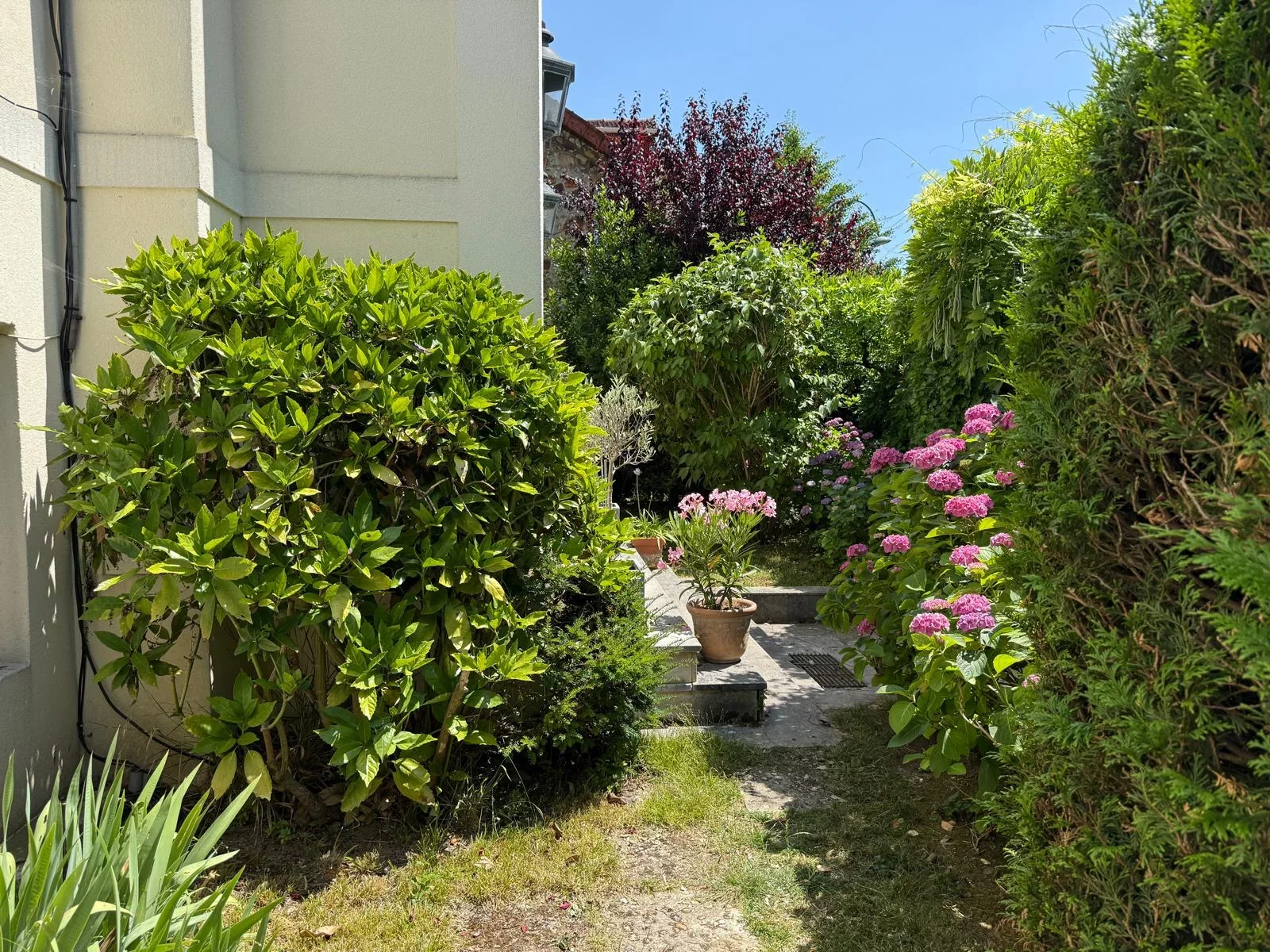 vente-maison-10-pieces-sceaux-86002064