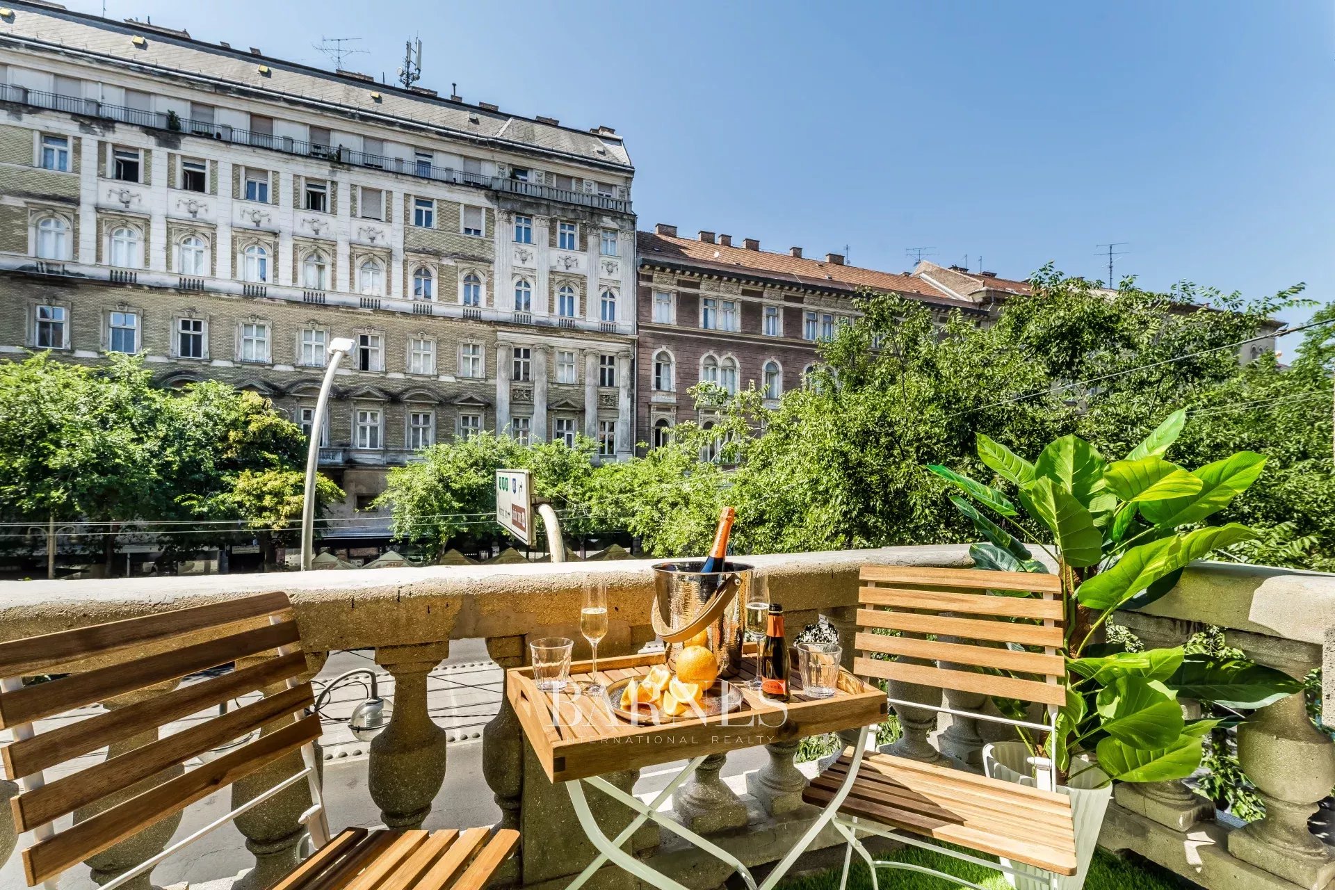 For Sale: Downtown 3-Bedroom Apartment or Dual Unit Investment Opportunity