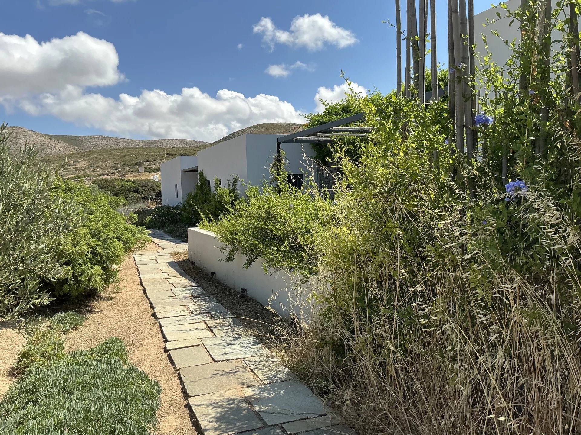 Εικόνα ιδιοκτησίας 1