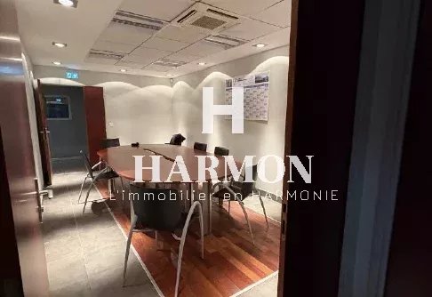 Harmon à vendre : BÂTIMENT D’ACTIVITÉ – TOULOUSE MONLONG - Photo 3