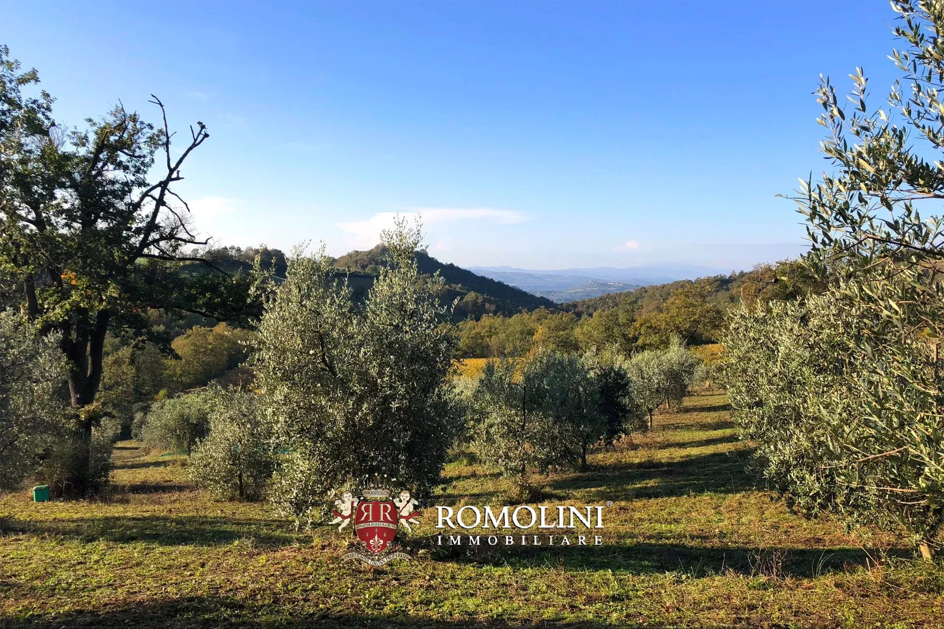 8 Bedroom Vineyard's Image 8
