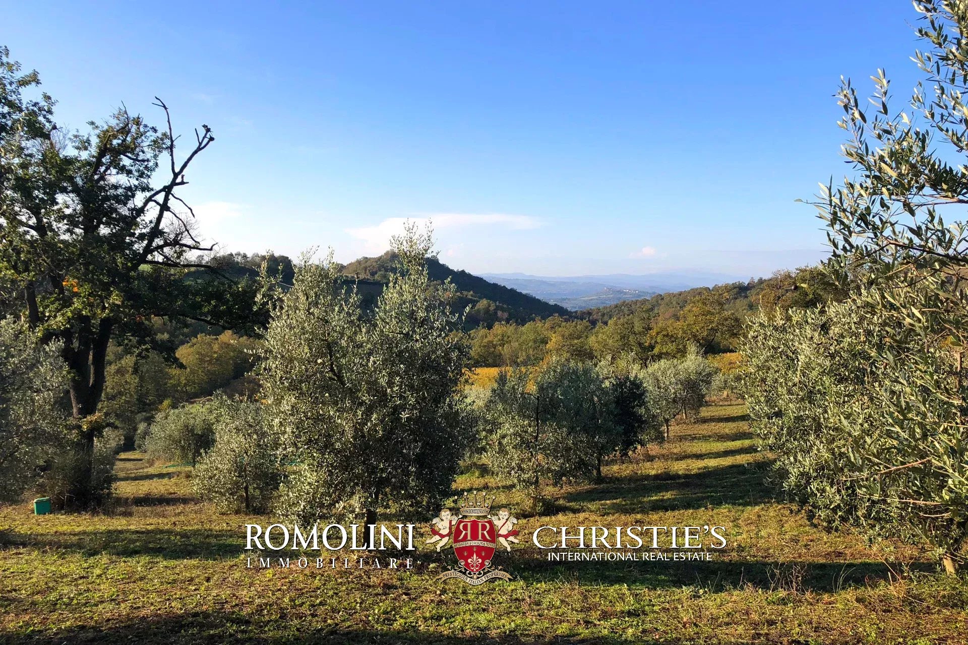 8 Bedroom Vineyard's Image 8