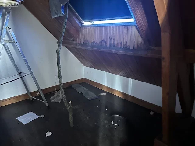 vente-maison-4-pieces-wissous-86144377