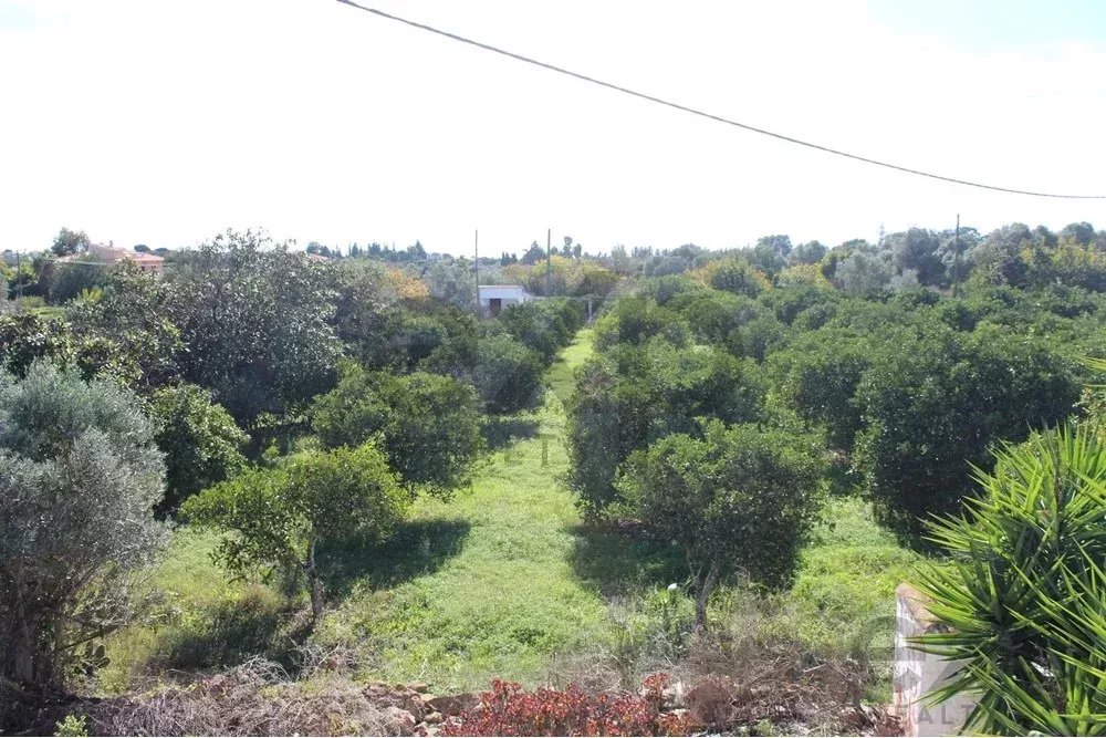 Charming Countryside Gem Near Fuseta 85948757 image 21