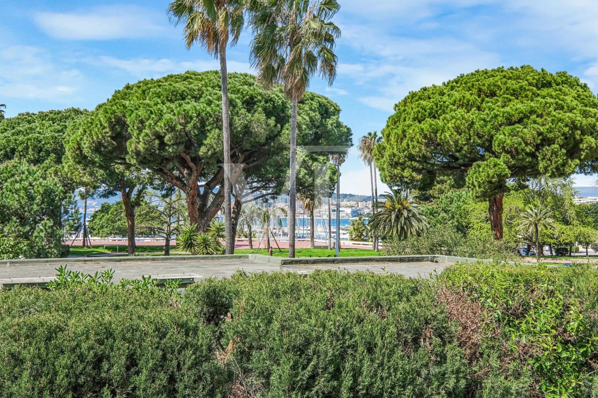 Cannes Croisette