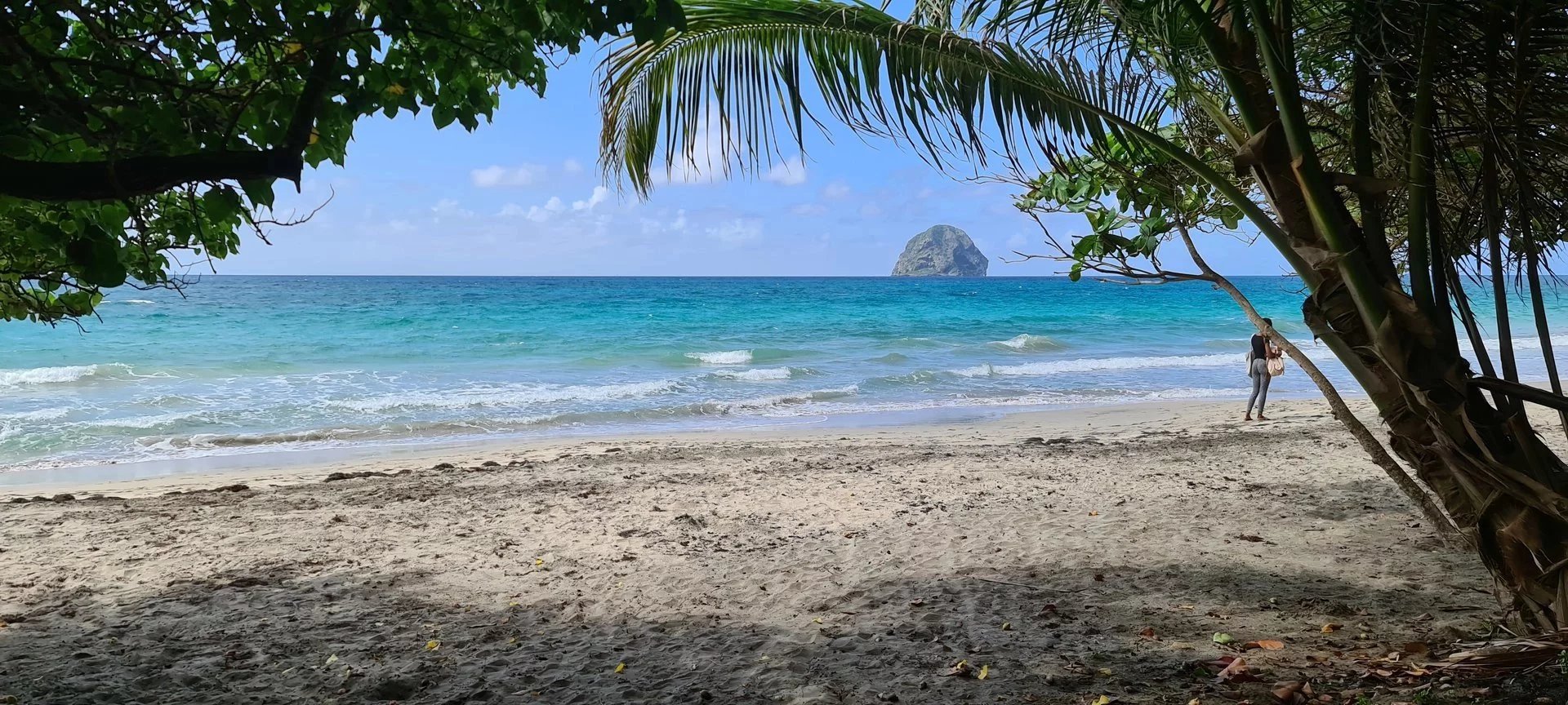 DIAMANT / APPARTEMENT A 50 M DE LA PLAGE