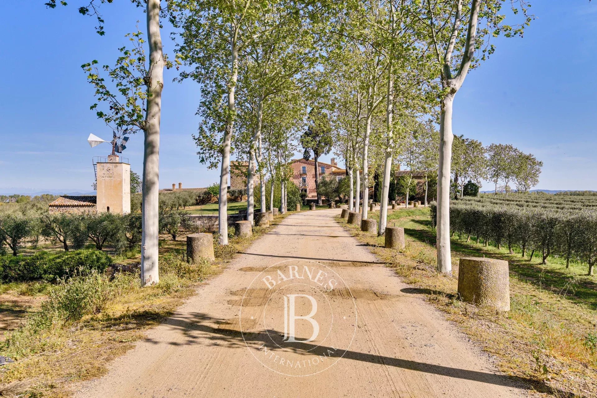 Çiftlik Llagostera - picture 4