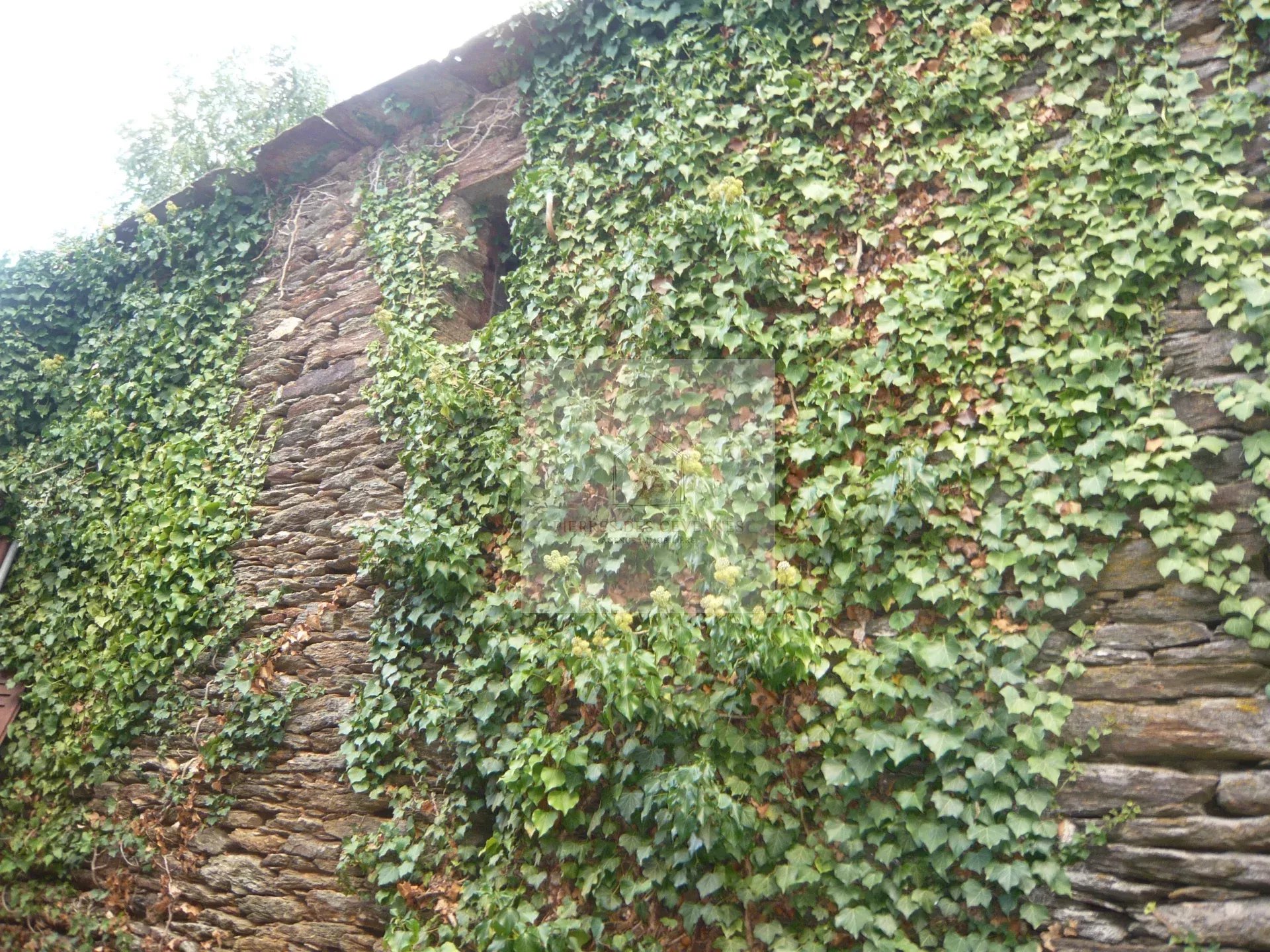 Agence immobilière de Pierres Des Cevennes