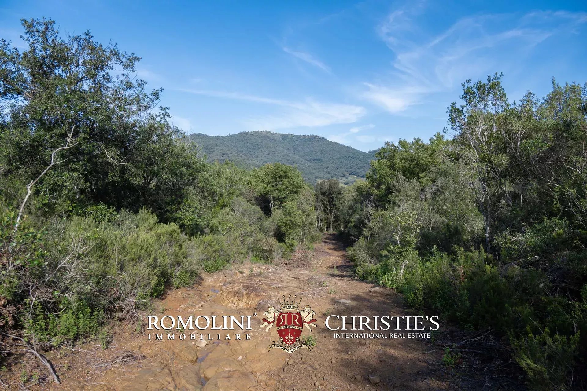 324-HA HUNTING RESERVE WITH DEVELOPMENT PROJECT FOR SALE IN MAREMMA, TUSCAN COAST