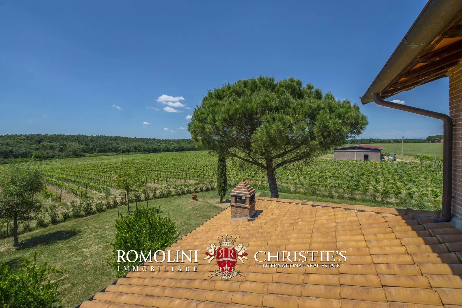 7 Bedroom Vineyard's Image 4