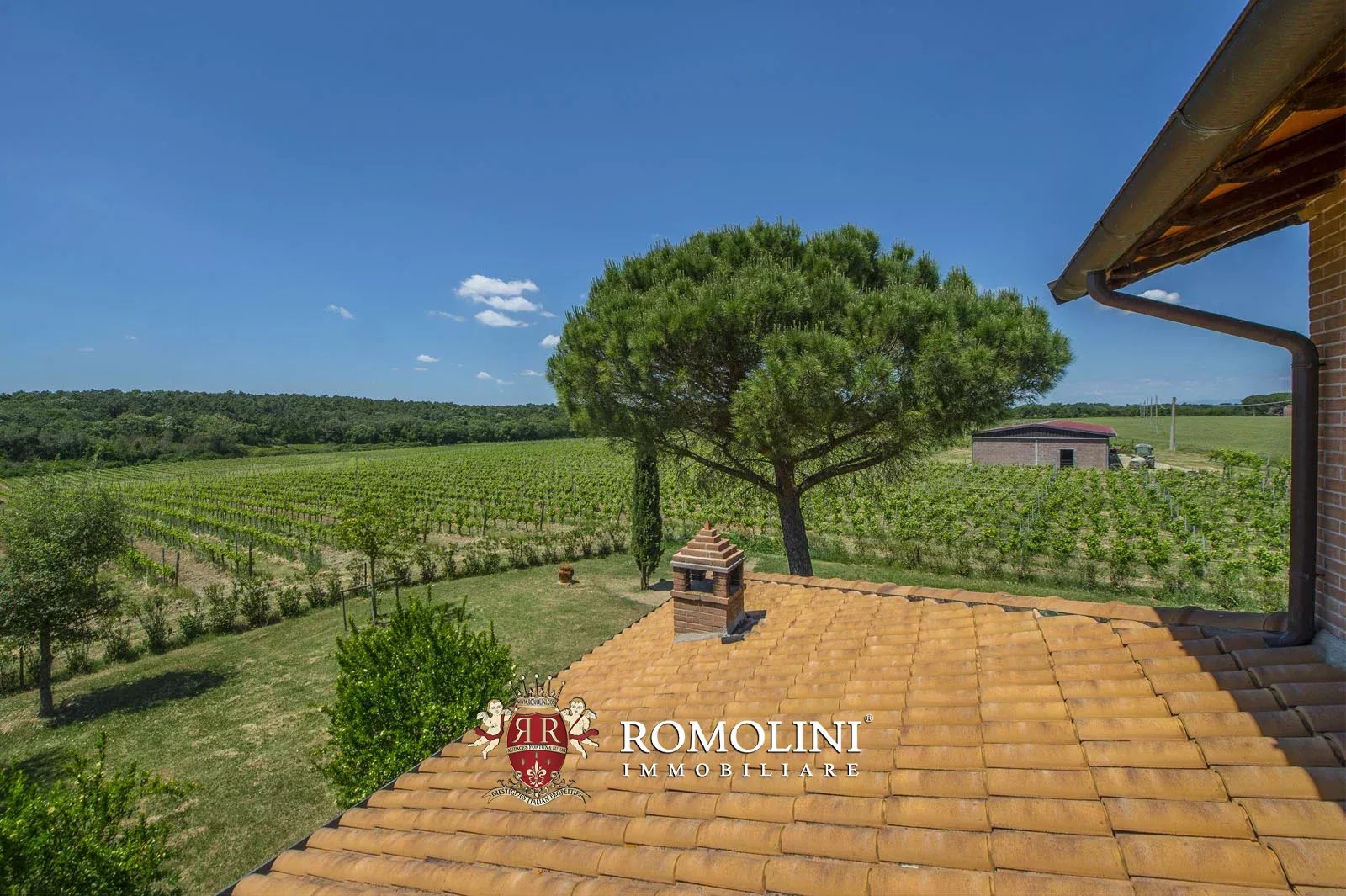 7 Bedroom Vineyard's Image 4