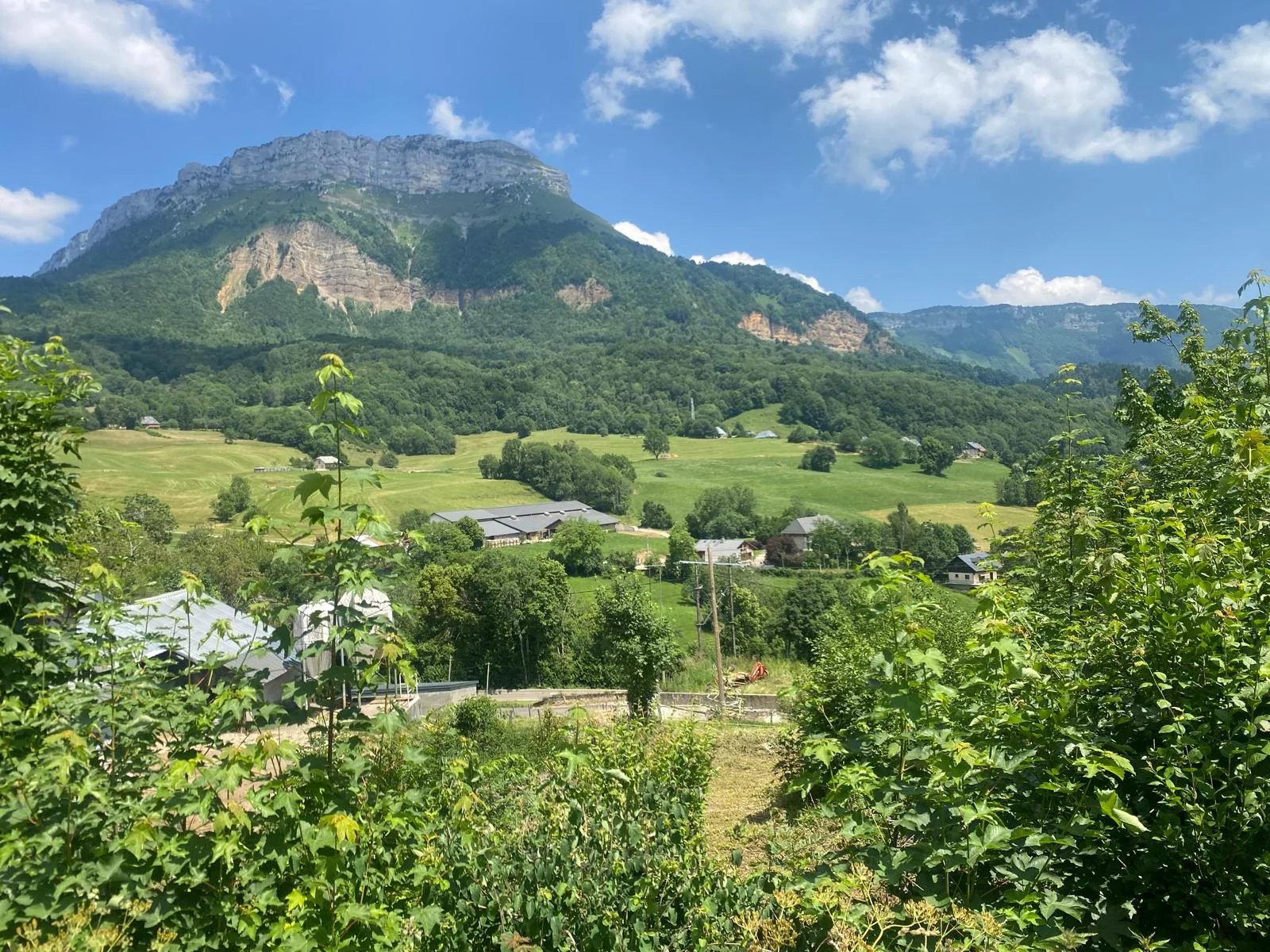 Agence immobilière de Baugimmo