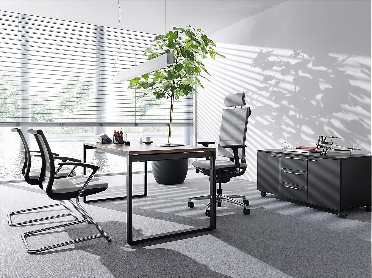 Agence immobilière de Allowa