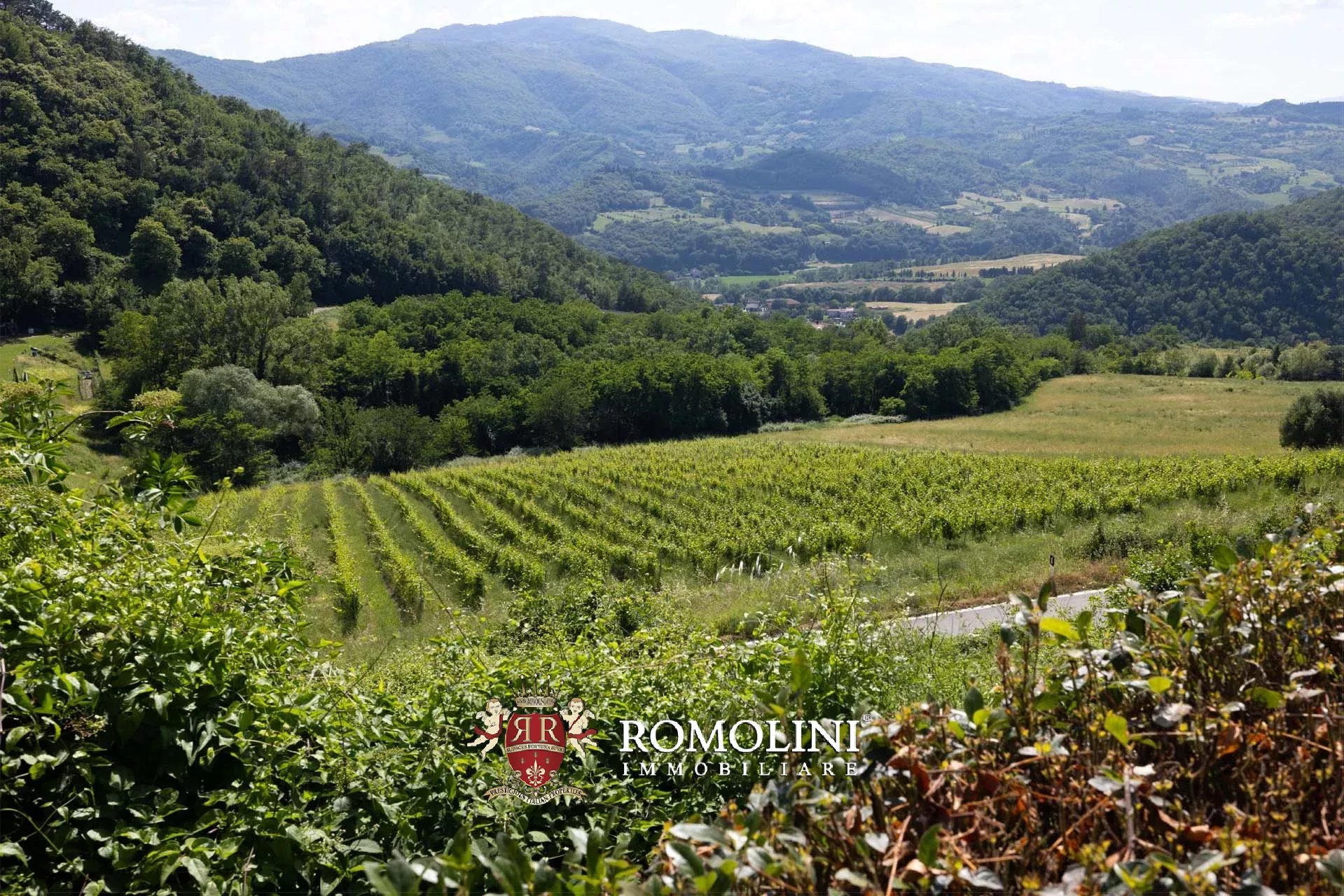 34 Bedroom Vineyard's Image 34