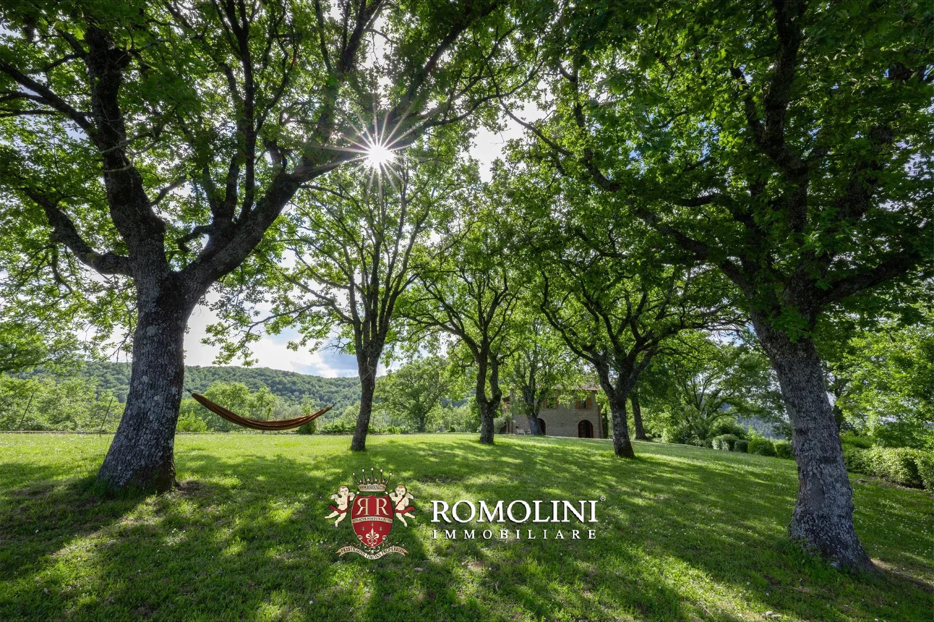 Property Slider Image