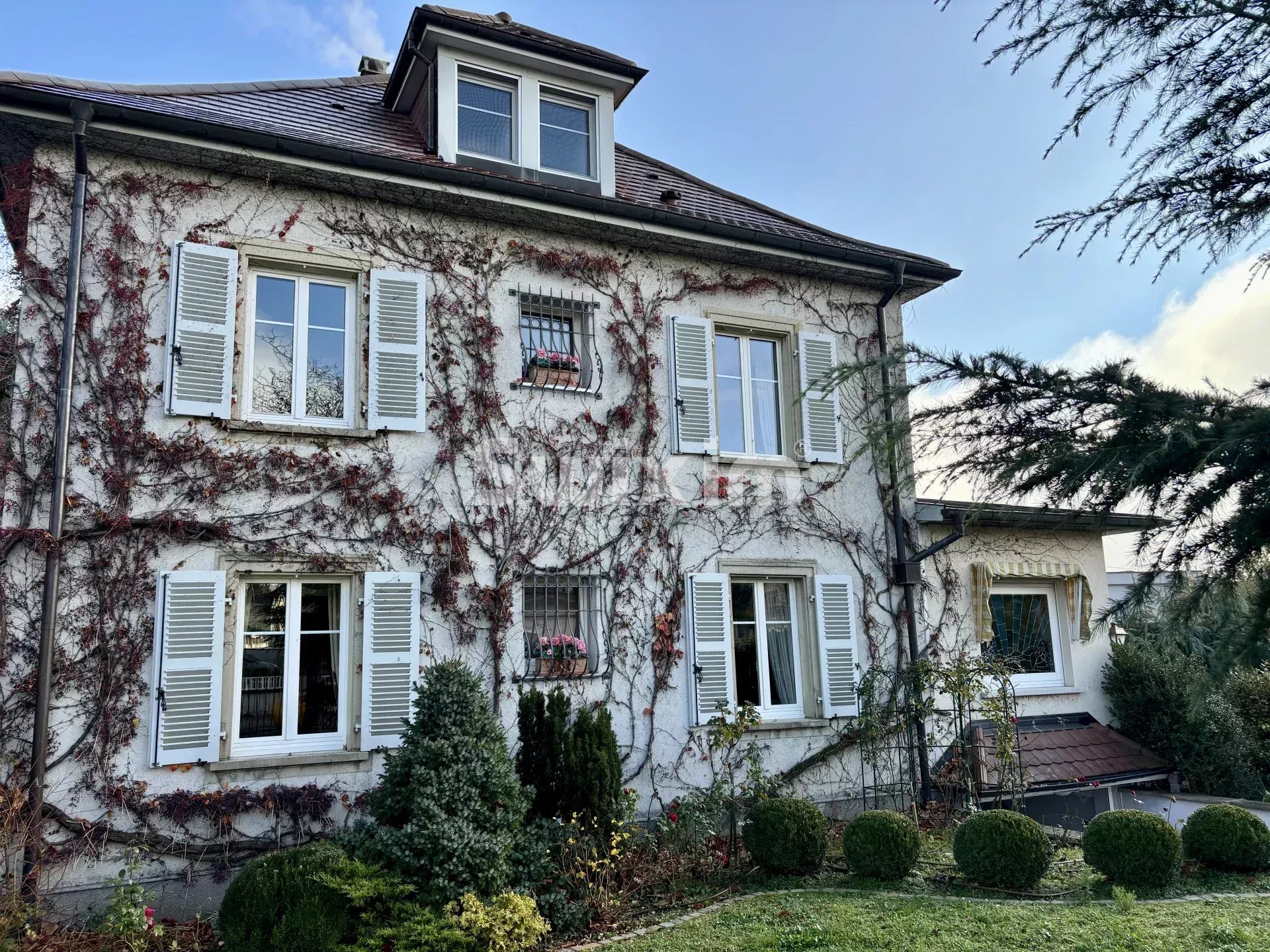 Agence immobilière de SWISS PLAN SAS