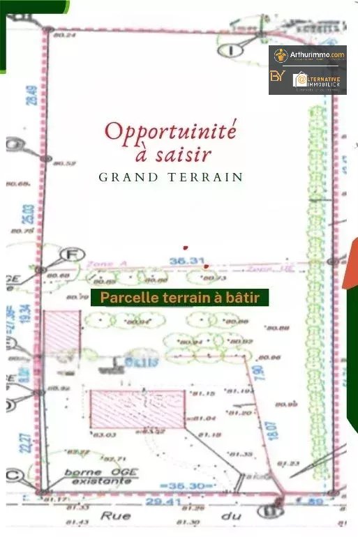 Agence immobilière de EURL ALTERNATIVE IMMOBILIER
