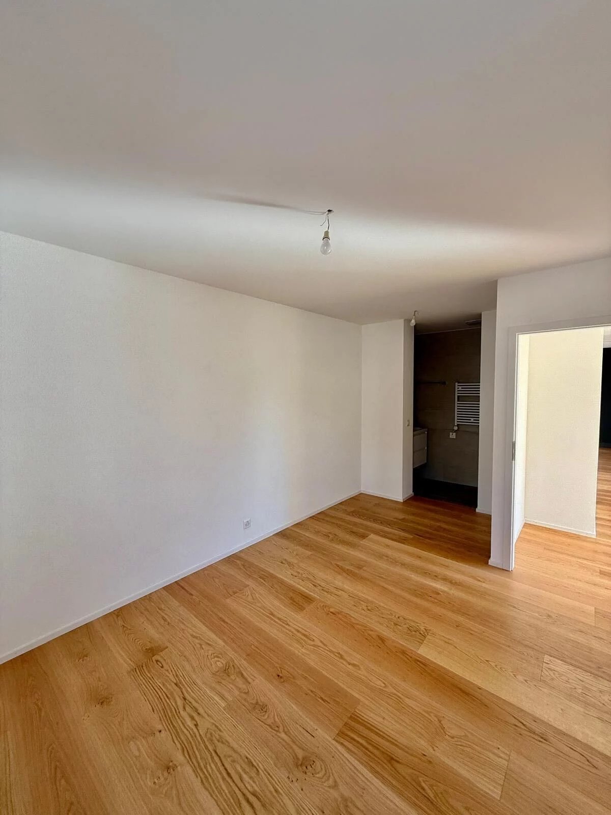 Splendide attique 3.5 pièces neuf à Sion