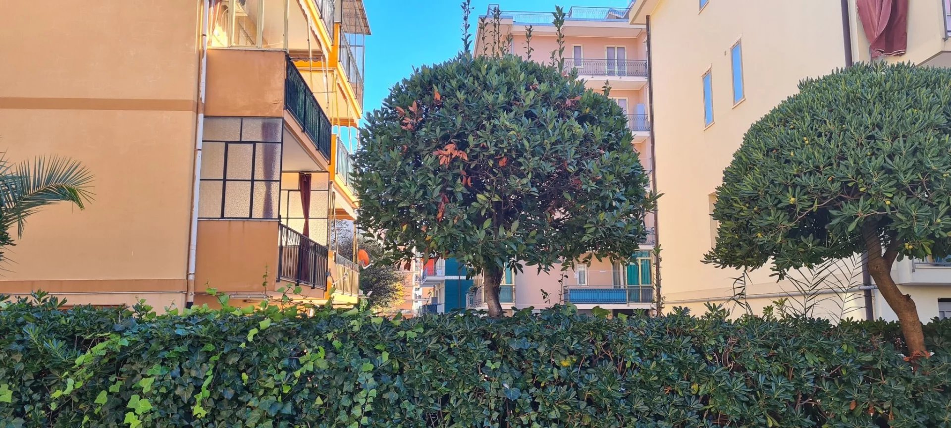 Agence immobilière de Royal House