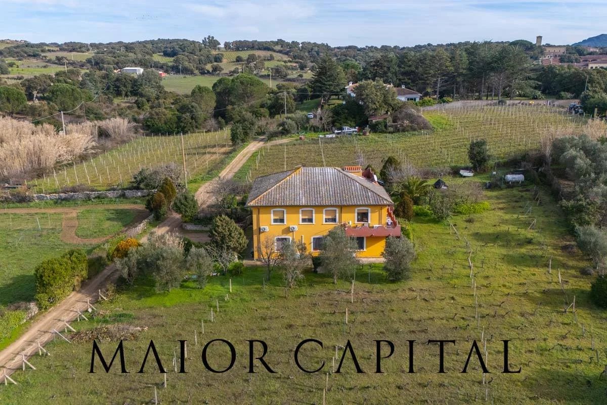 Monti | Villa indipendente con vigneto a venti minuti da Olbia