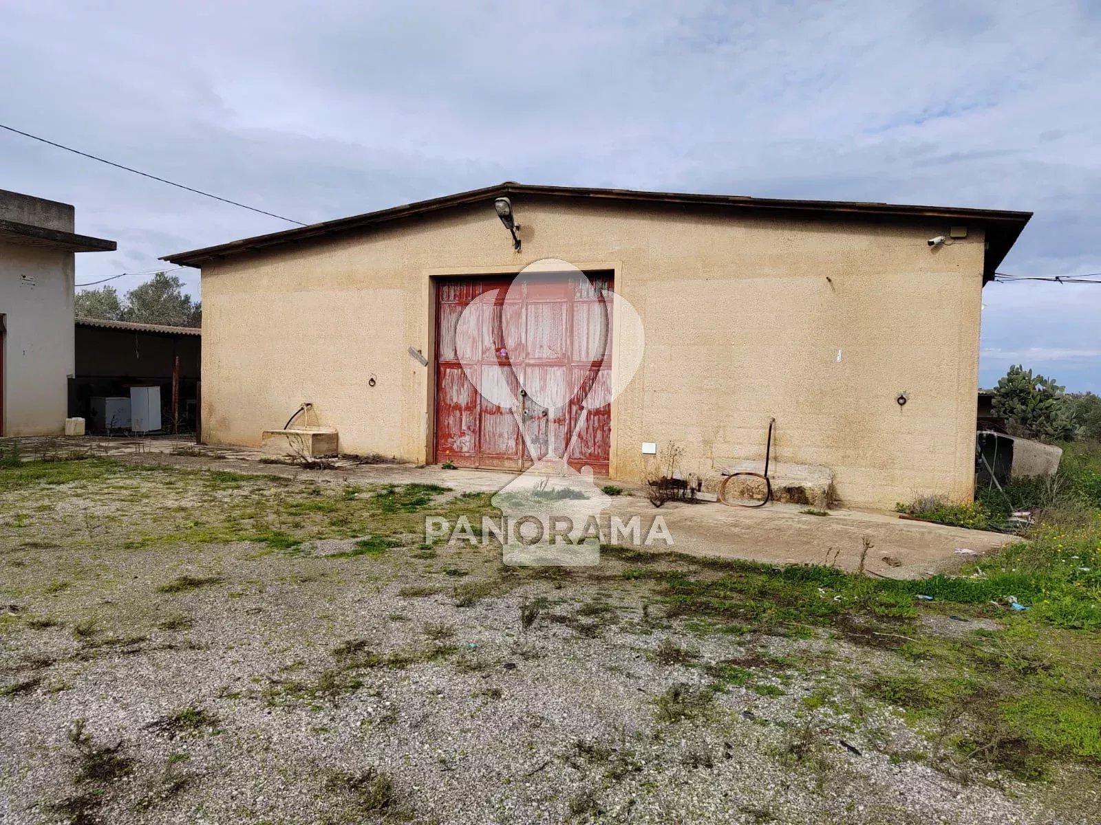 Vendita Azienda agricola Partinico