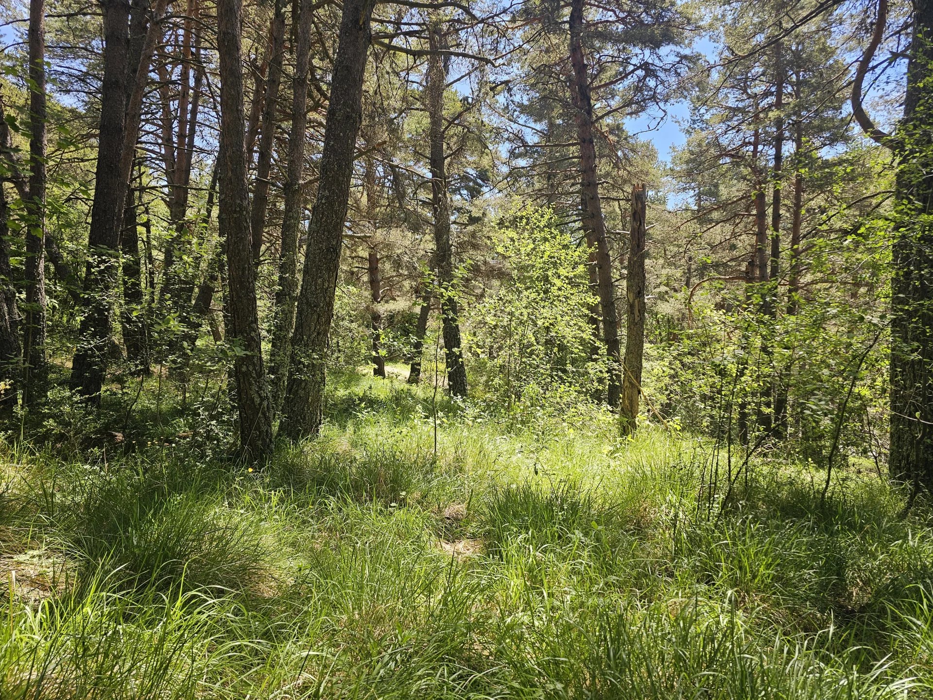 Terrain constructible  2 planches