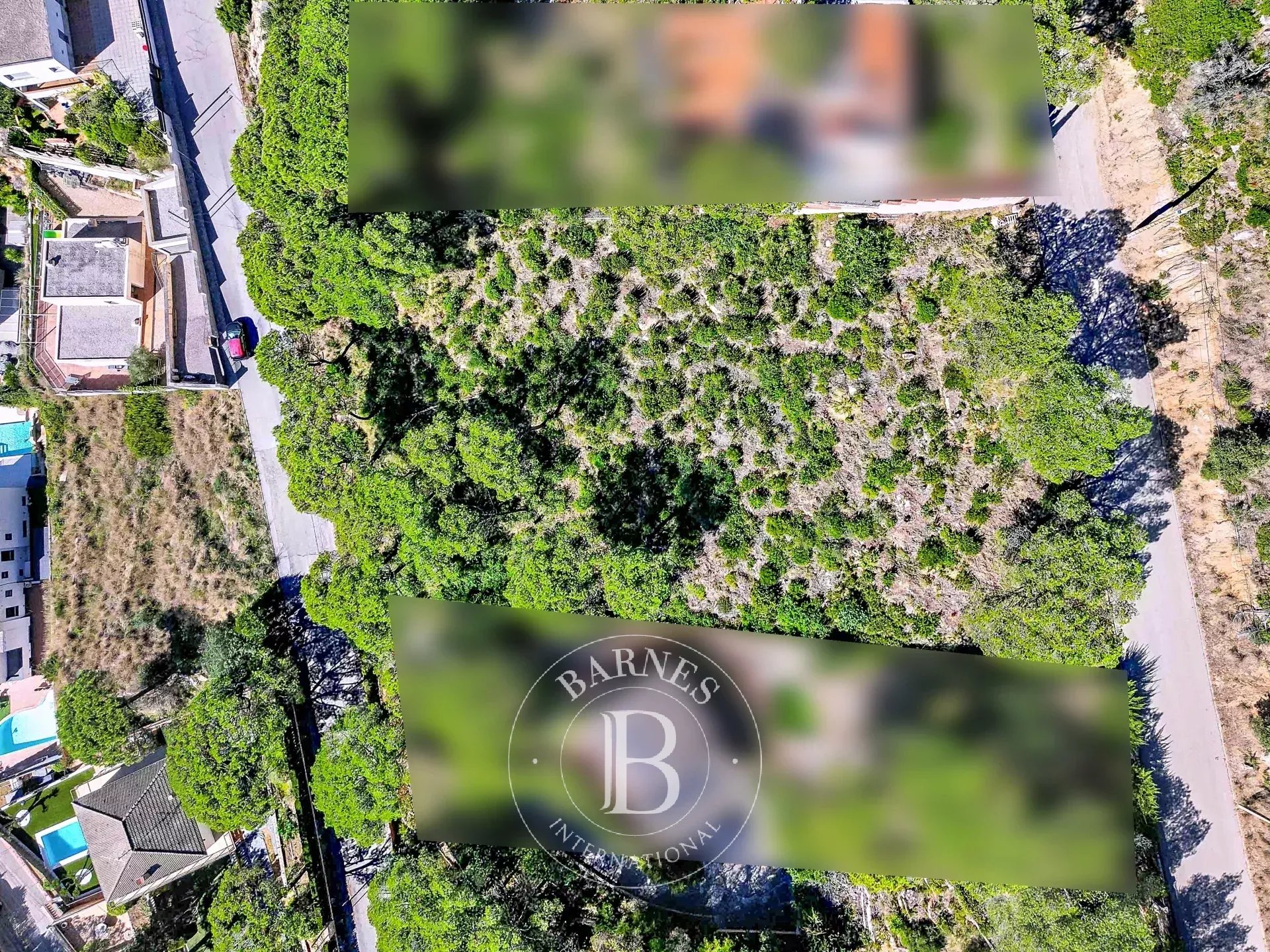 Arazi Dosríus - picture 36