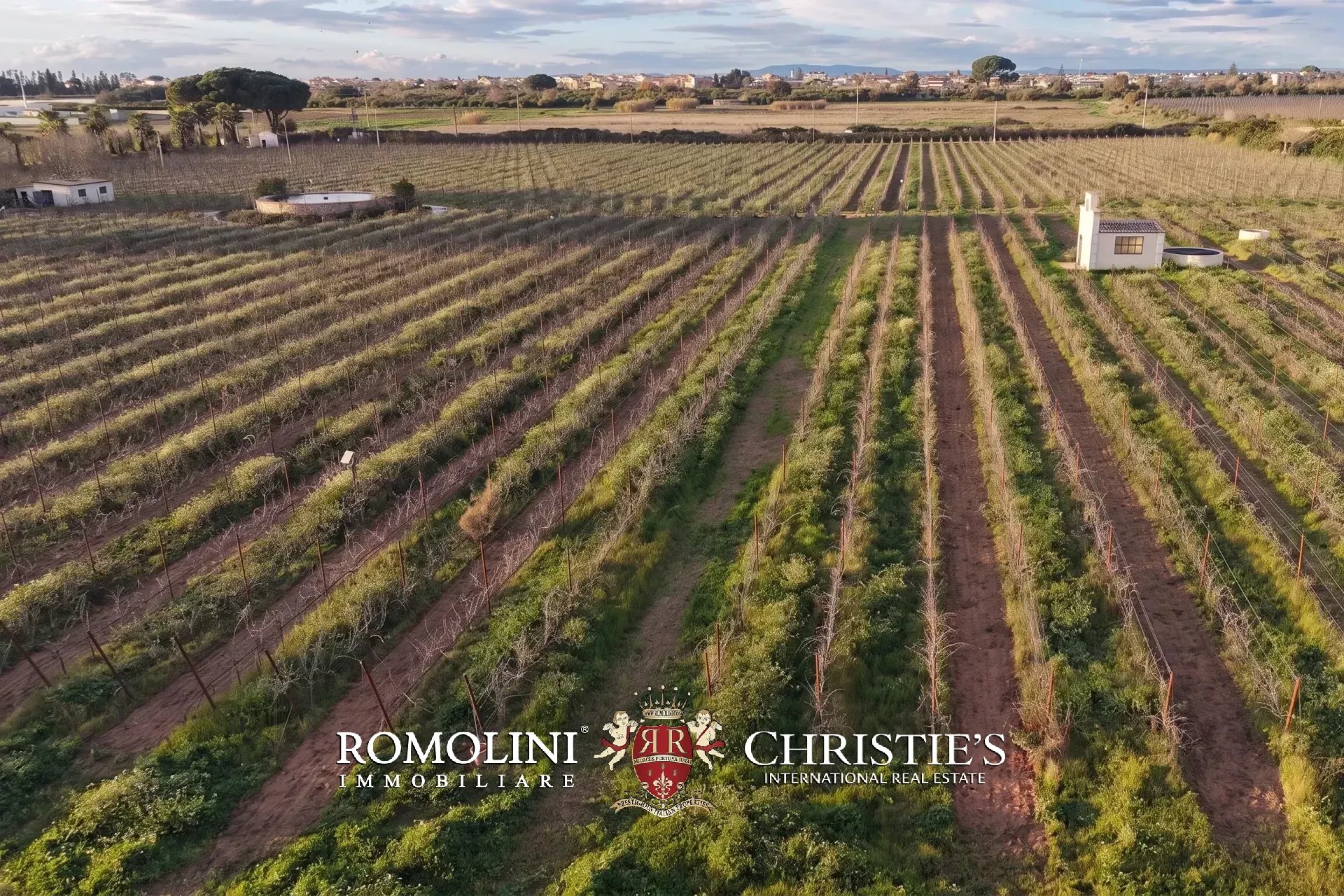 5 Bedroom Vineyard's Image 17