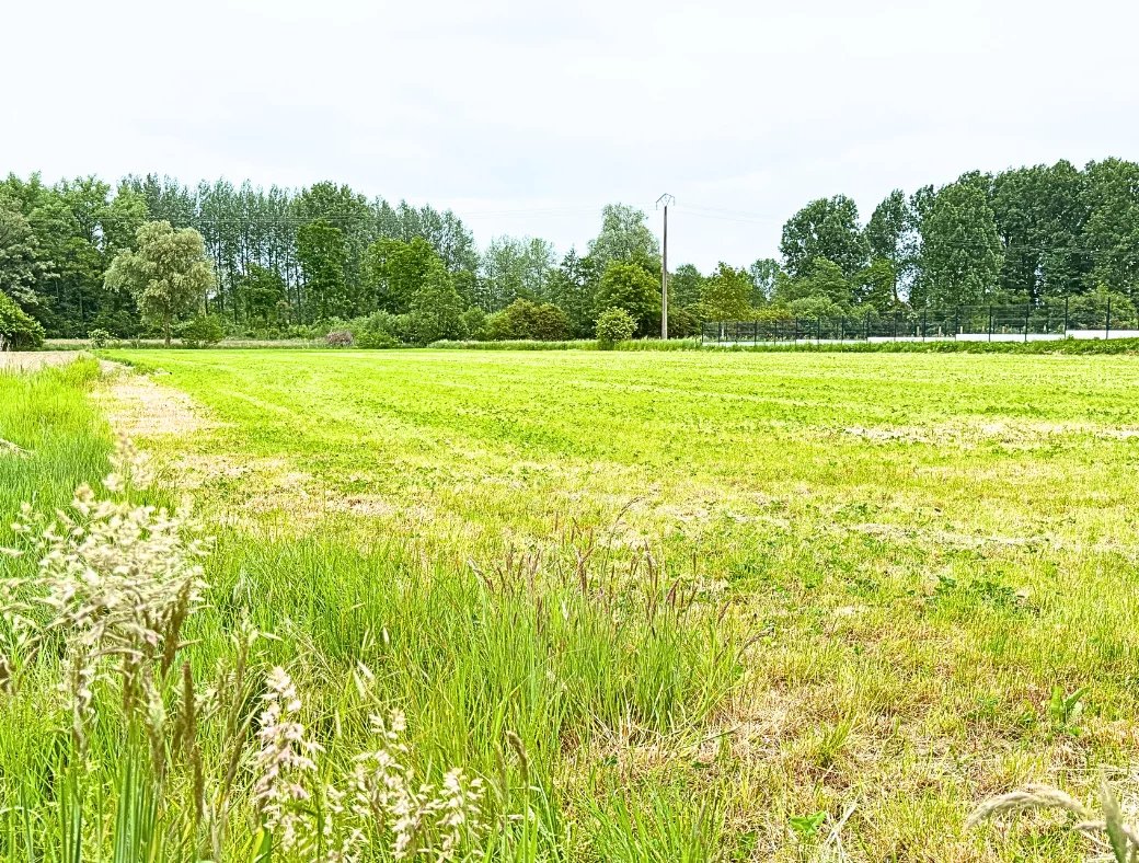 Agence immobilière de Nord Immo