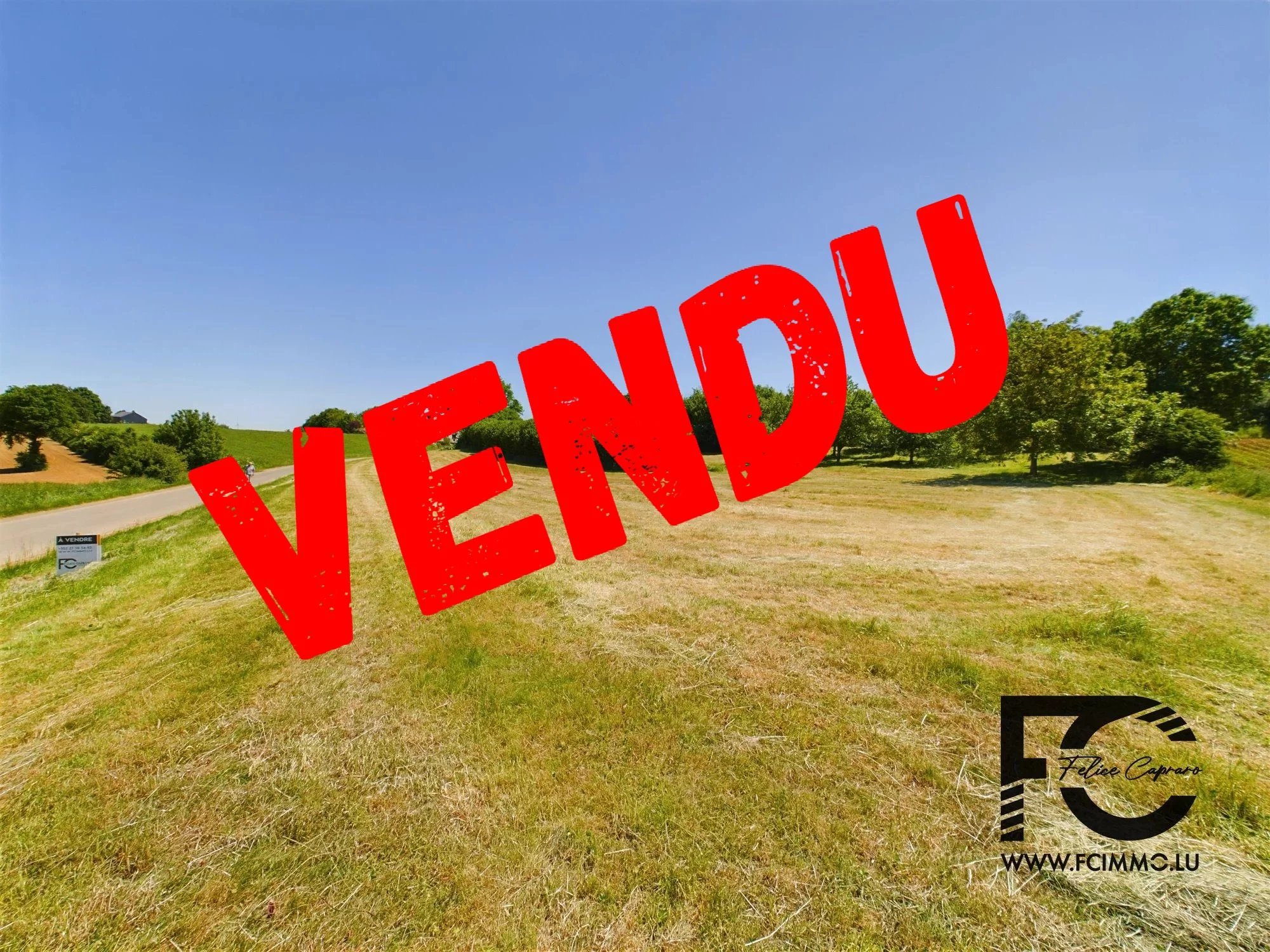 Vente Terrain Sélange