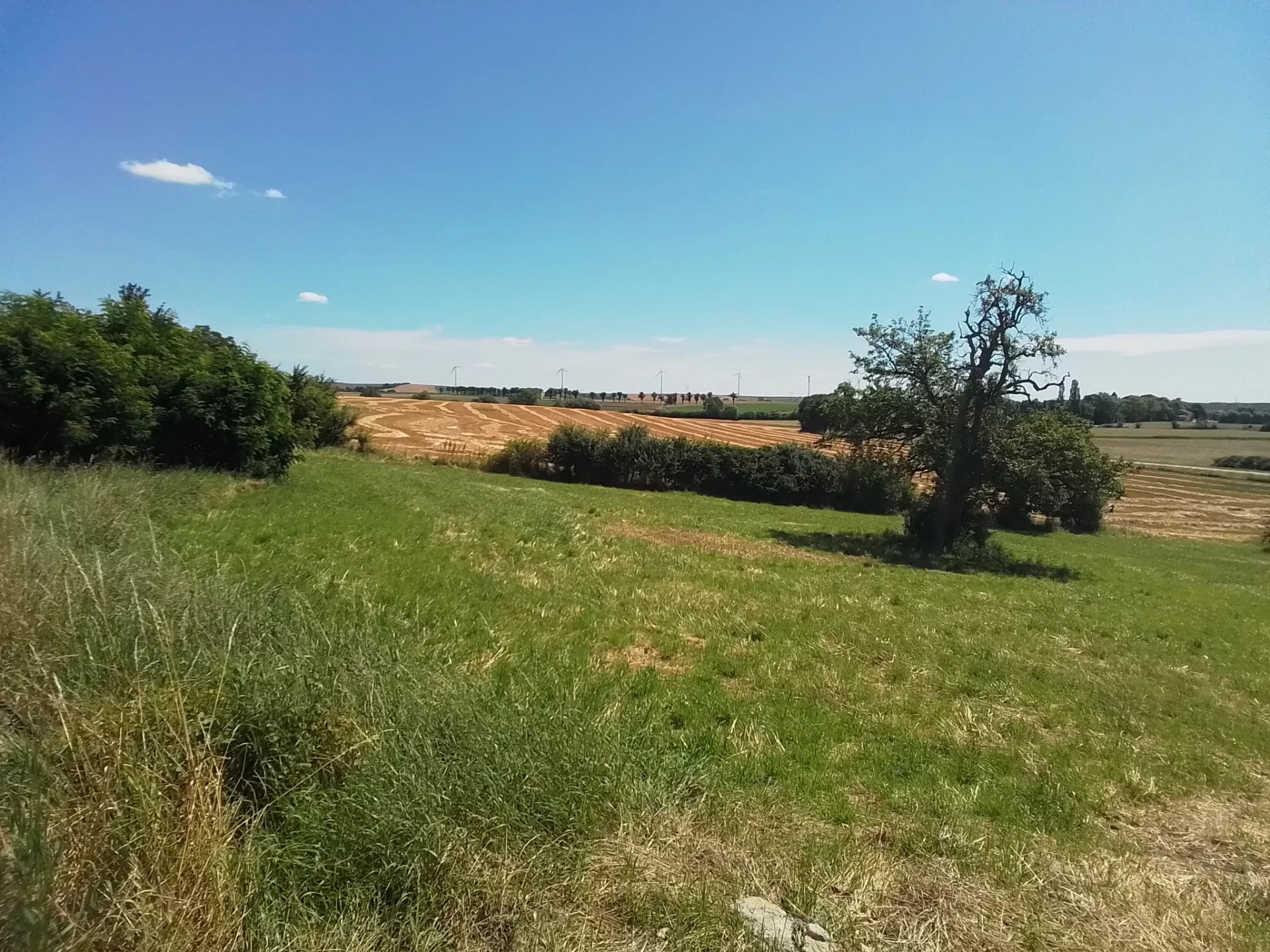 Vente Terrain Rémilly
