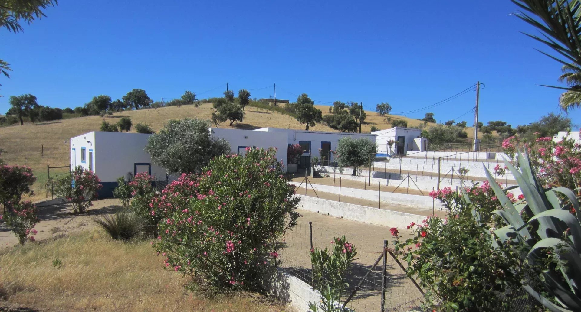 Herdade Cativante in Alentejo: A Tourist Investment with Immeasurable Potential 🌿✨ 86362095 image 56
