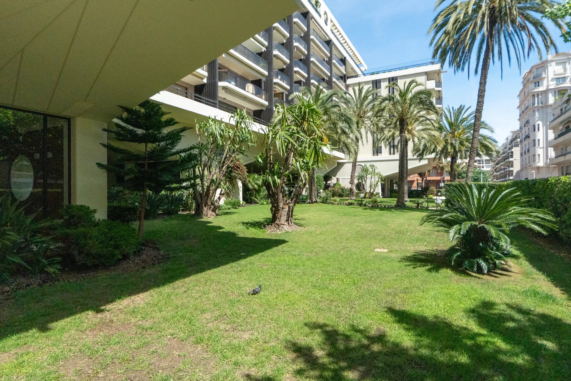 property_image