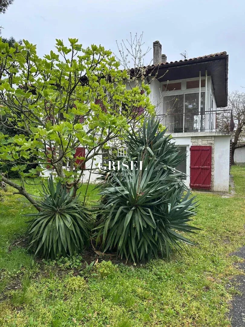 Agence immobilière de Grisel Immobilier Côte Ouest Cap Ferret