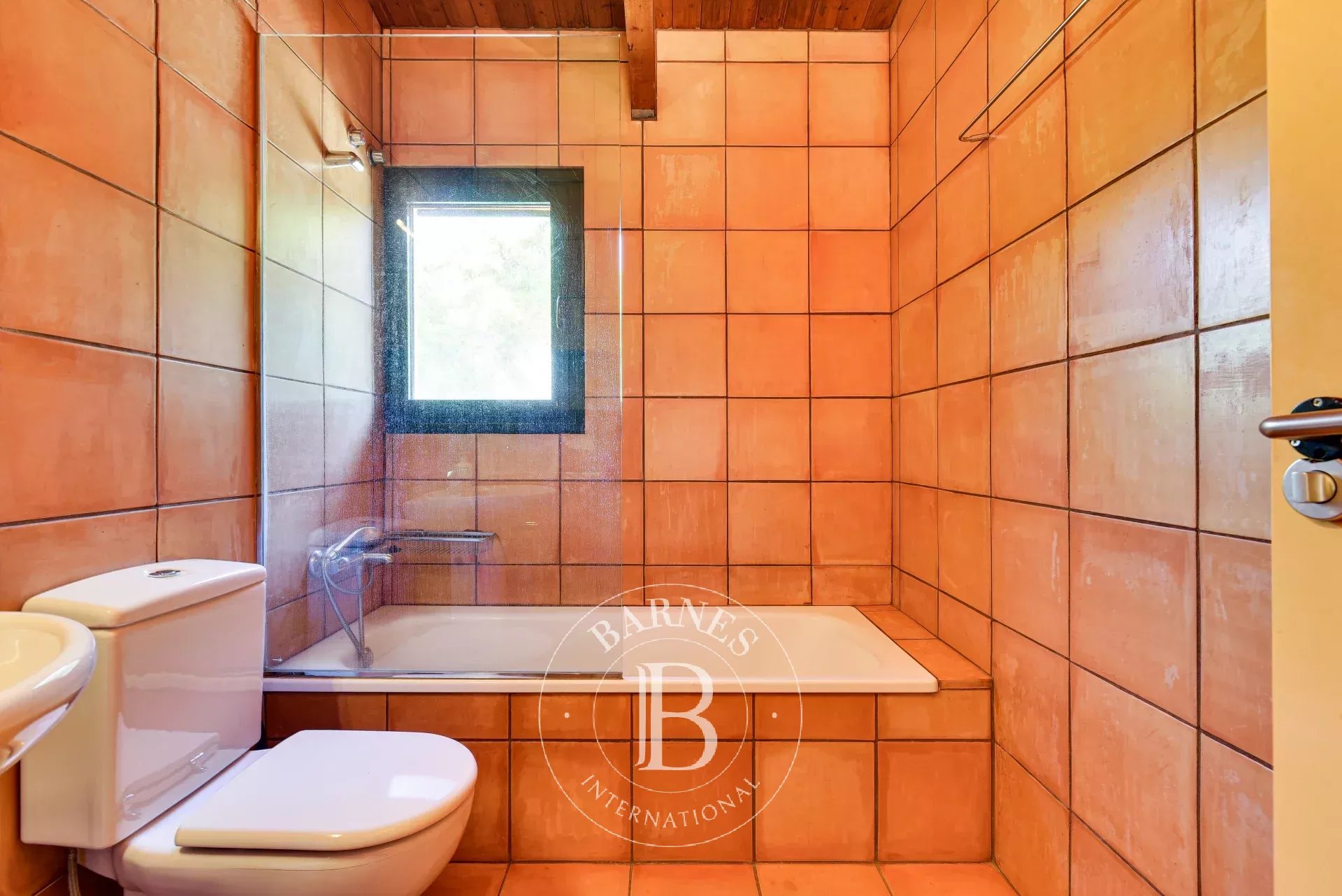 Çiftlik Capmany - picture 33