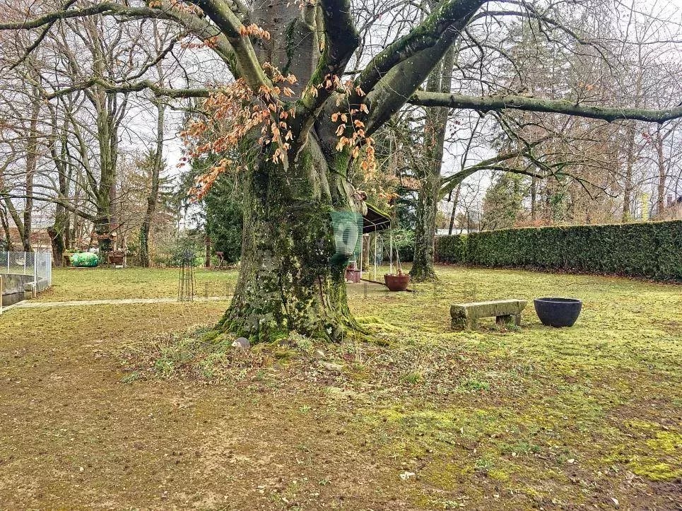 Exclusivité - Appartement de 5.5 d'une surface habitable de 189 m2