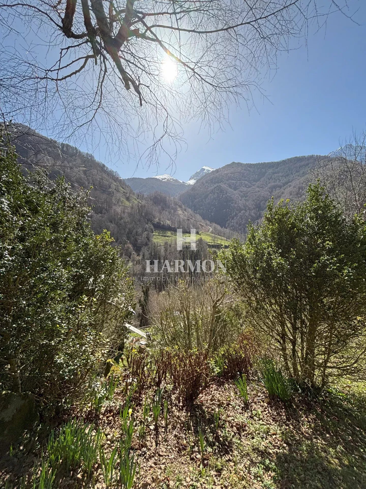 Harmon a vendre : CHALET EN MONTAGNE - Photo 3