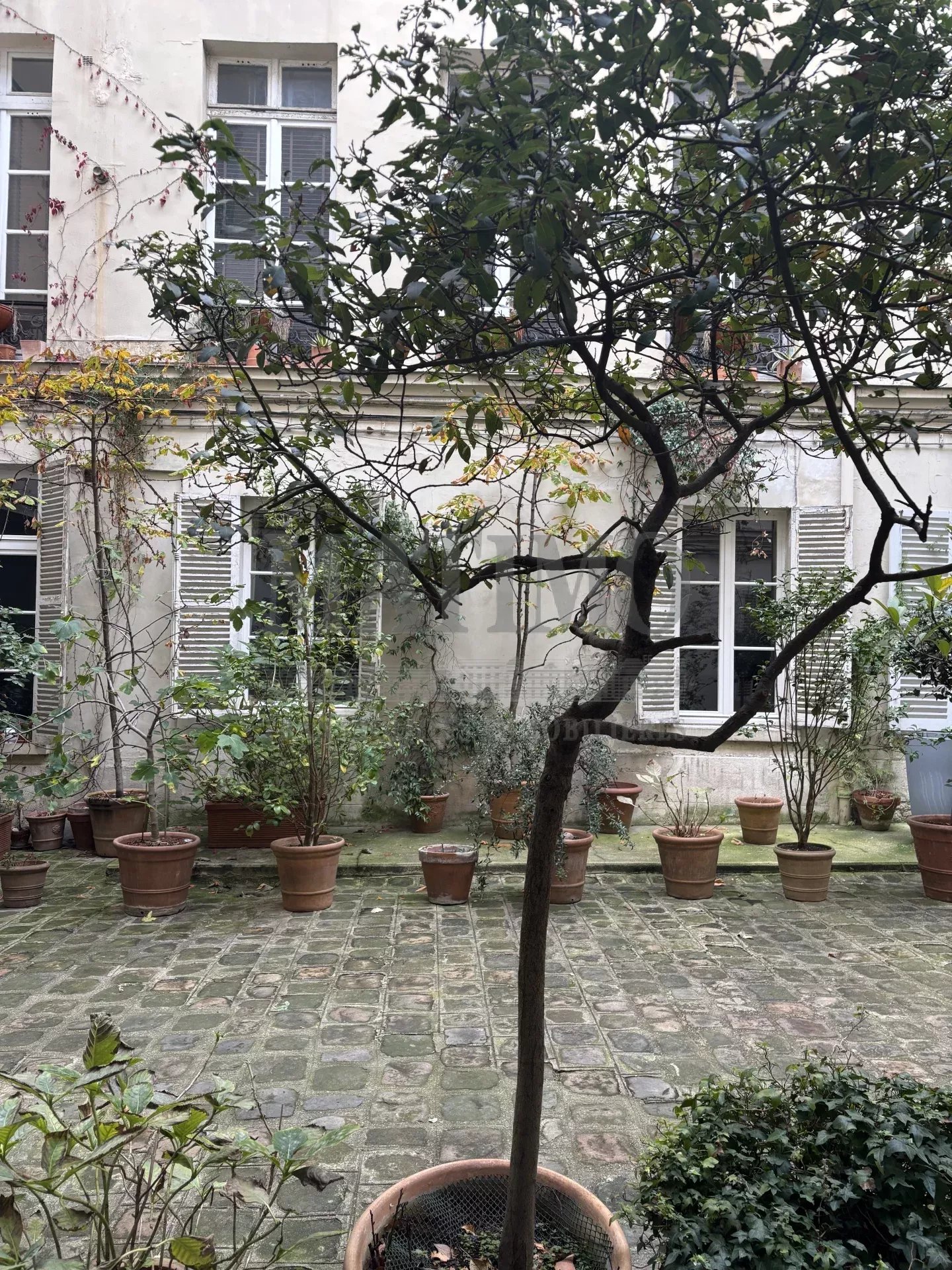 Ile Saint-Louis - Hôtel de Jassaud