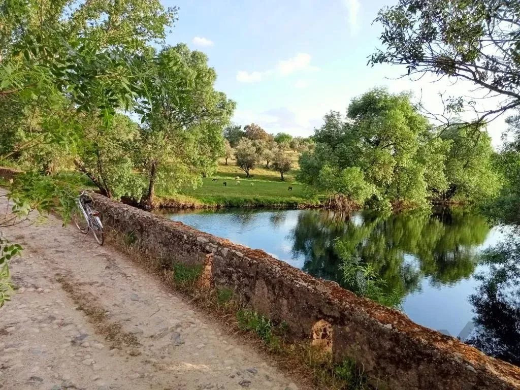 5-Bedroom Villa (2 x 3-Bedroom + 1 x 2-Bedroom Units) 86873882 image 70