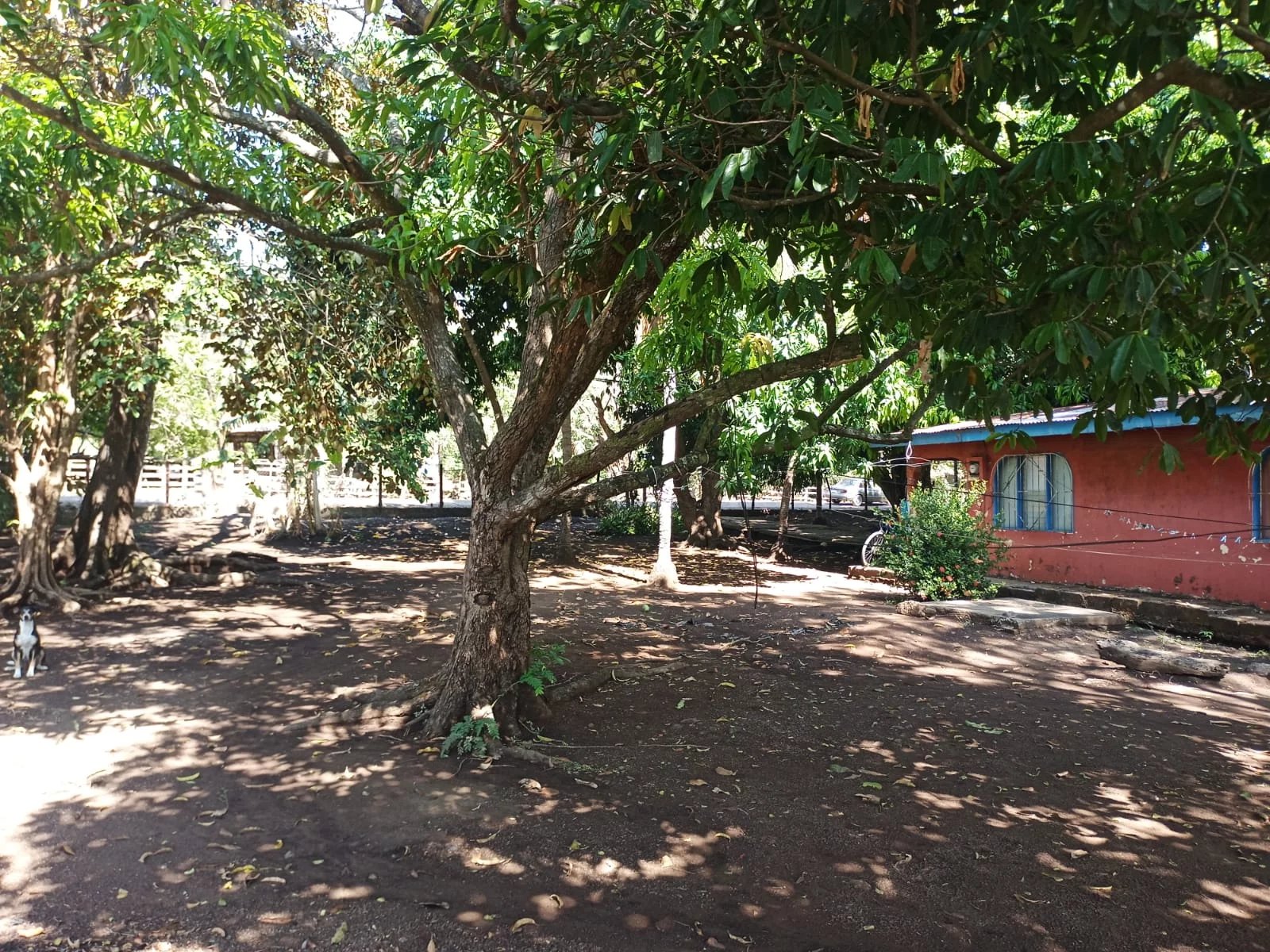 EXCLUSIVITÉ - Maison située à El Llano, à 15 minutes de Tamarindo, parfaite pour investir