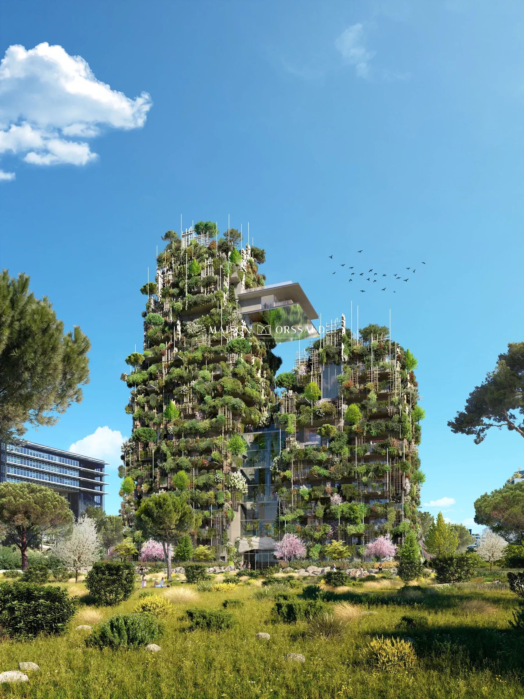 Agence immobilière de MAISON ORSSAUD