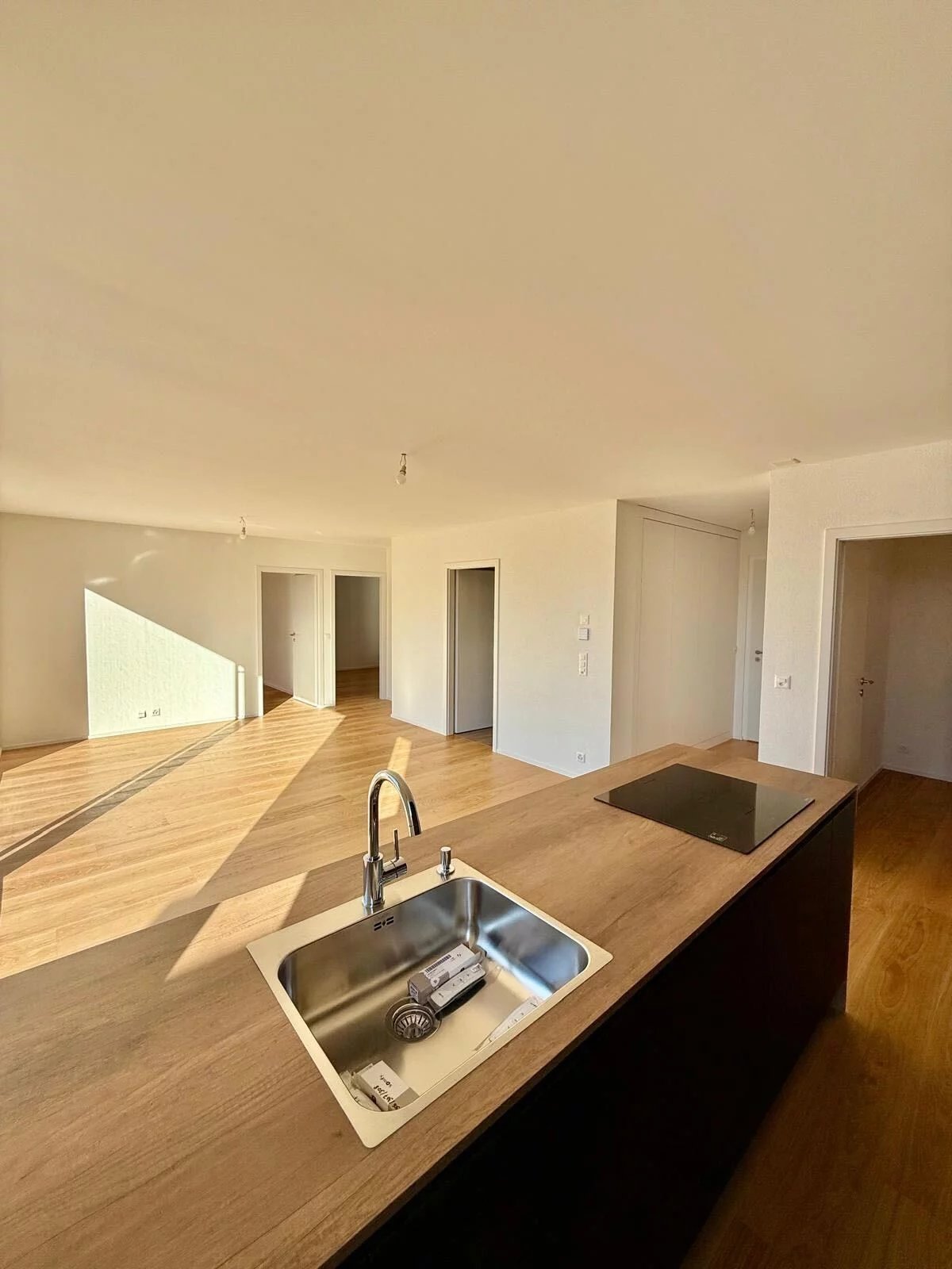 Splendide attique 3.5 pièces neuf à Sion