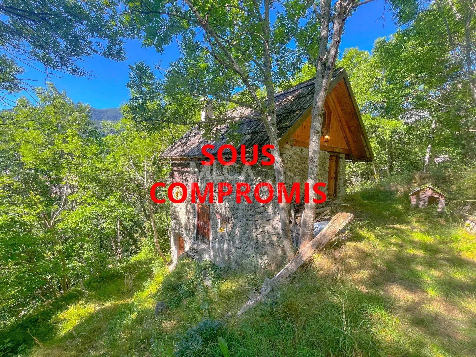 Agence immobilière de My Little Côte d'Azur