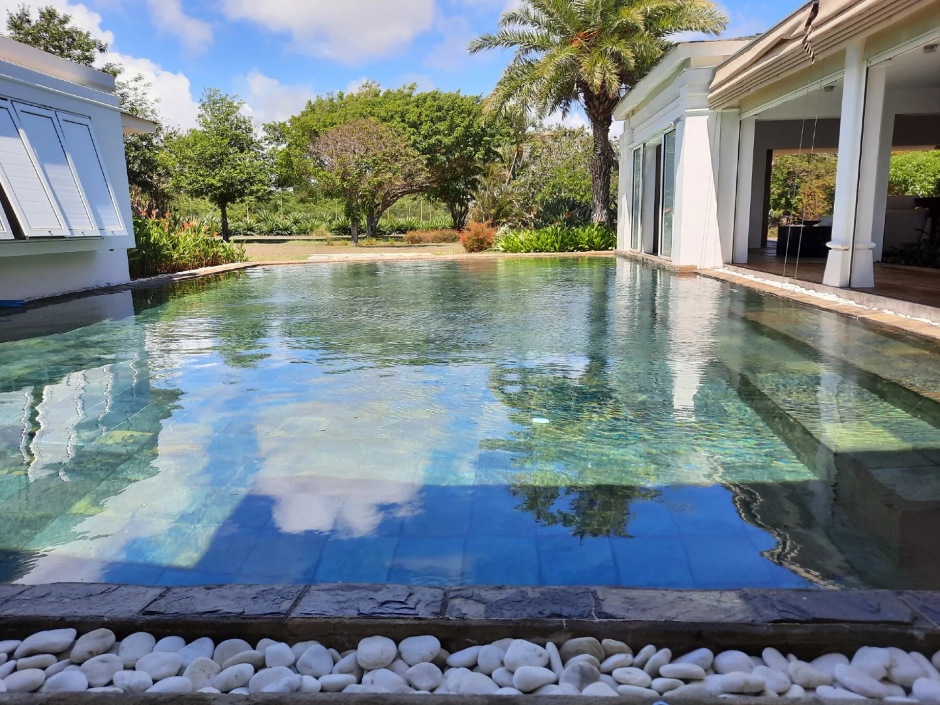 Ev Calodyne - picture 8