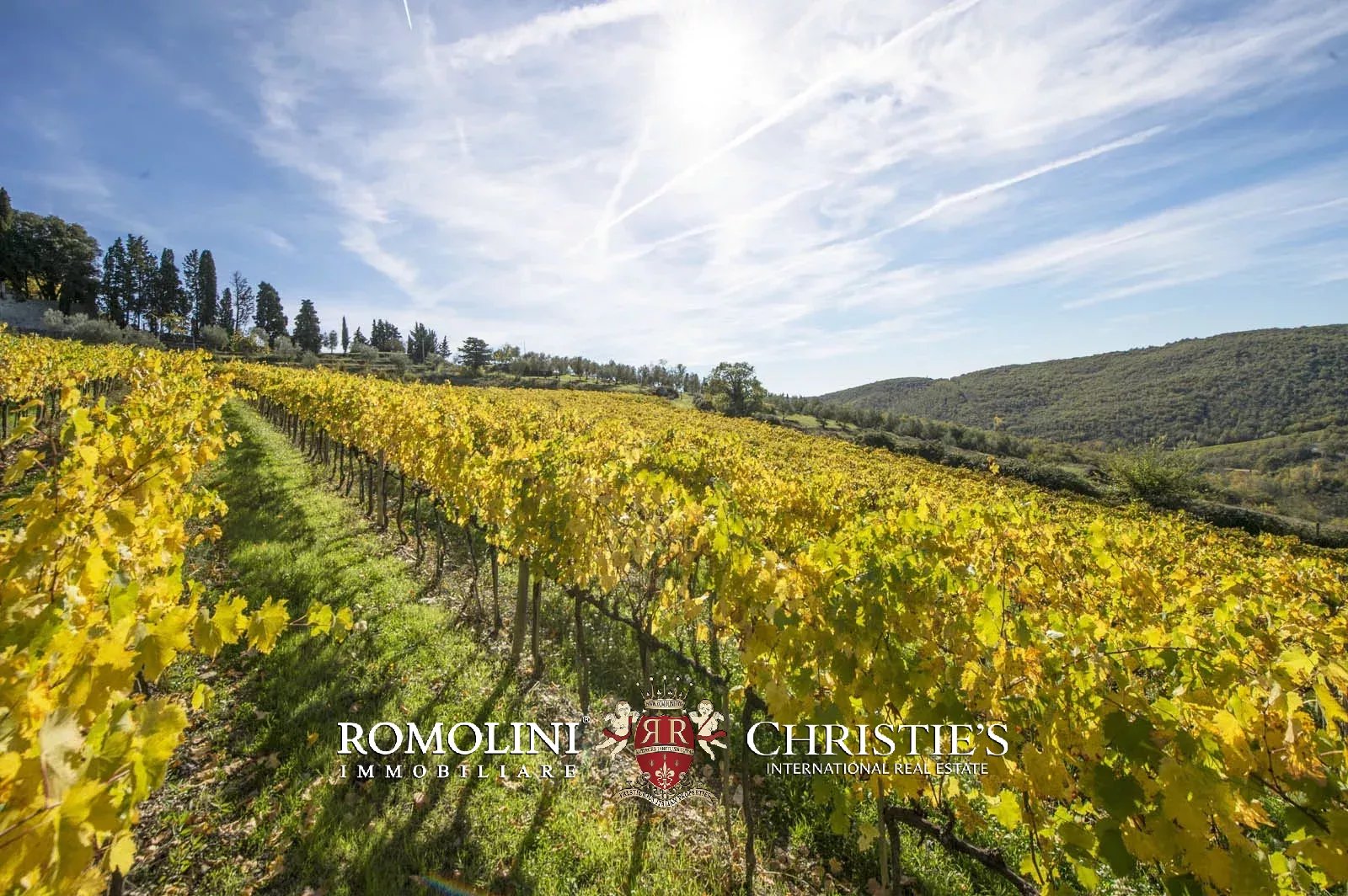 LUXURY HISTORICAL VILLA FOR SALE IN RADDA IN CHIANTI, TUSCANY