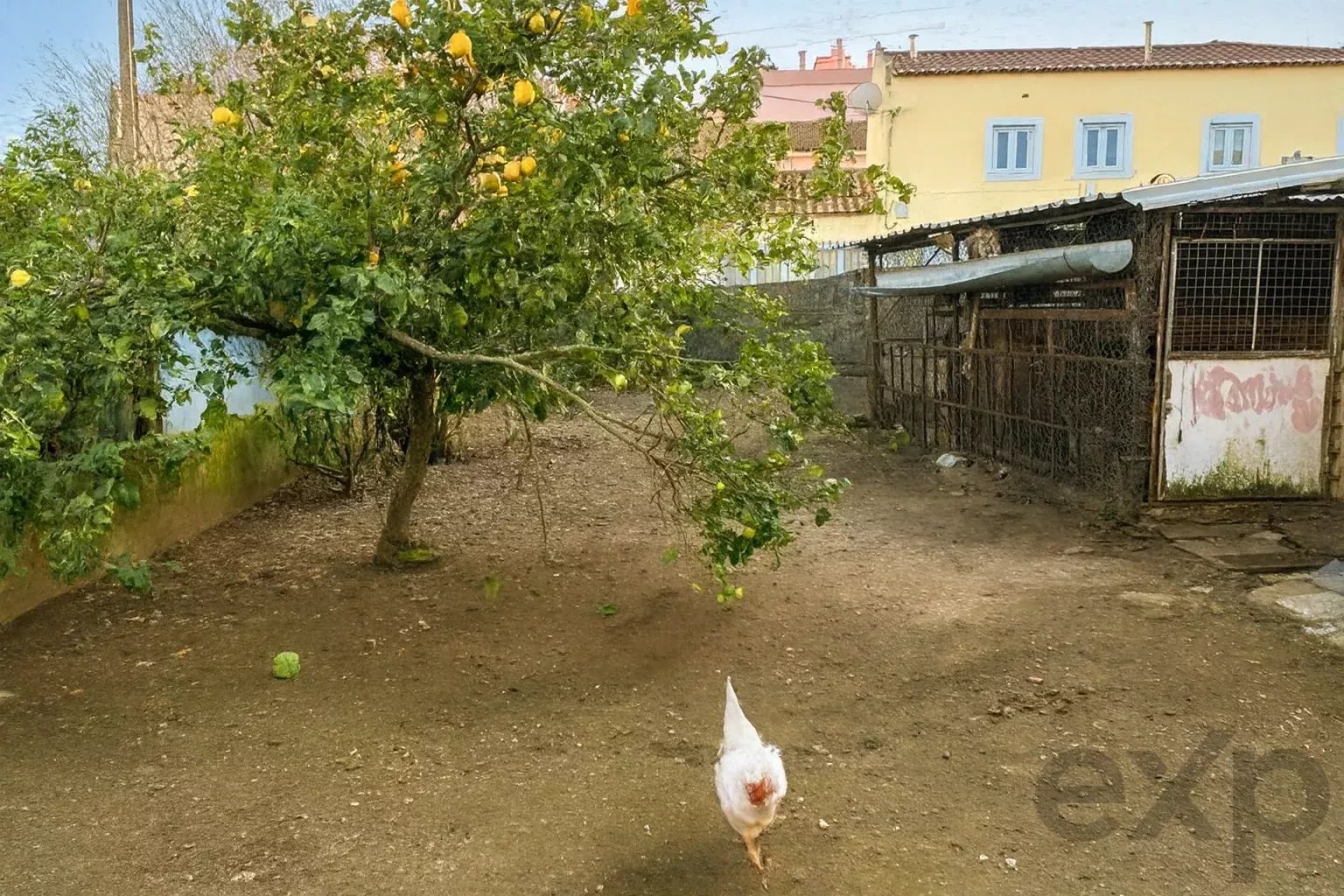 Exclusive Historic Villa for Renovation – Agualva-Cacém, Portugal 86678130 image 17