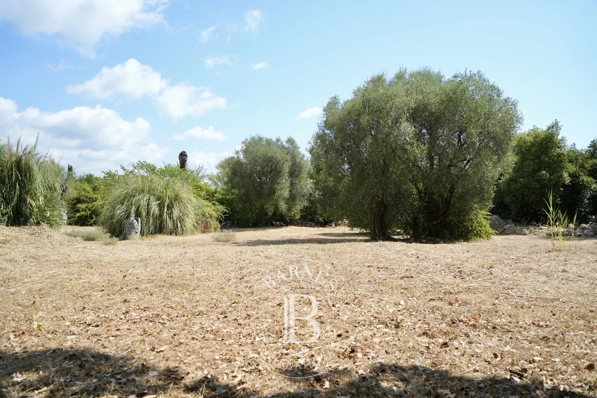 Arazi Roquefort-les-Pins - picture 13